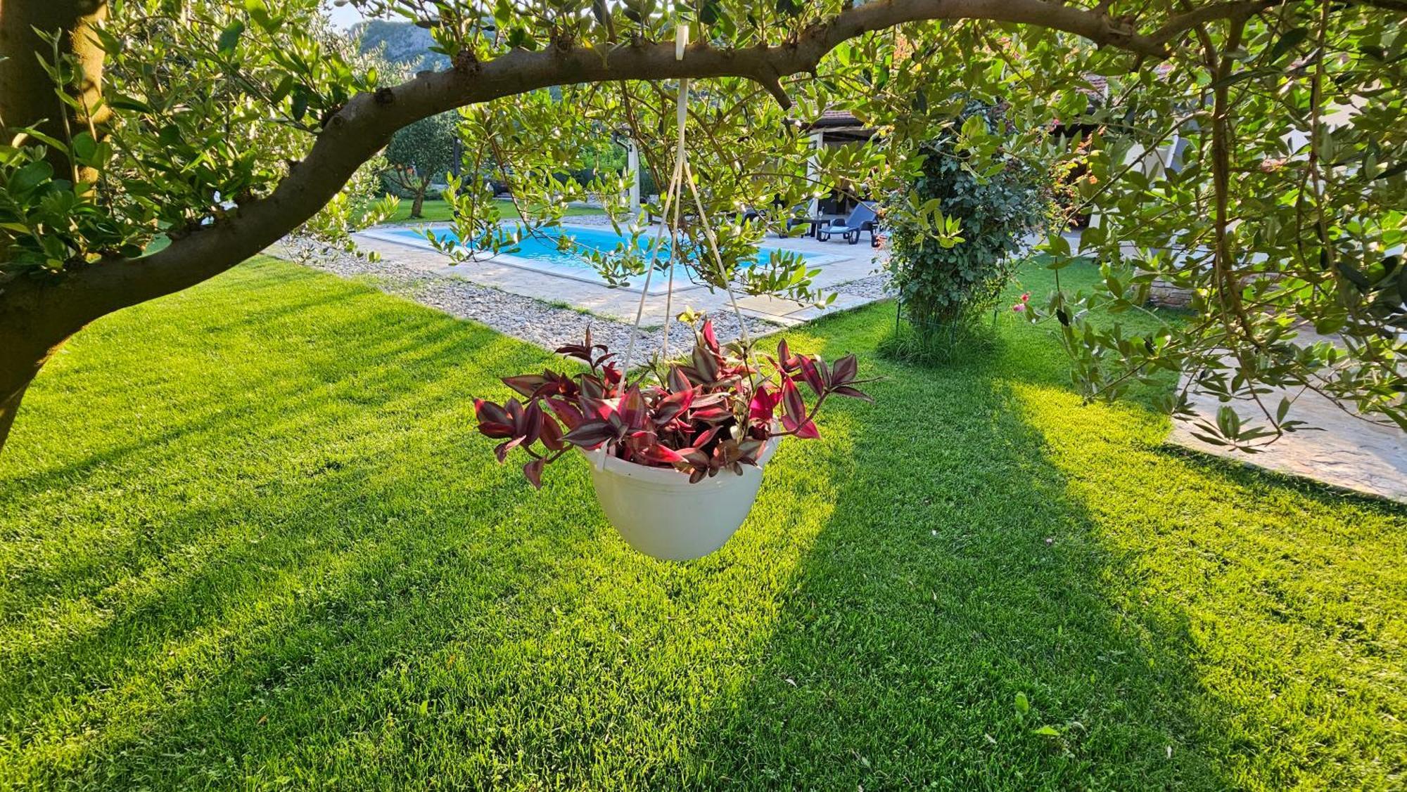 Holiday Home Natura With Private Pool Mostar Eksteriør billede