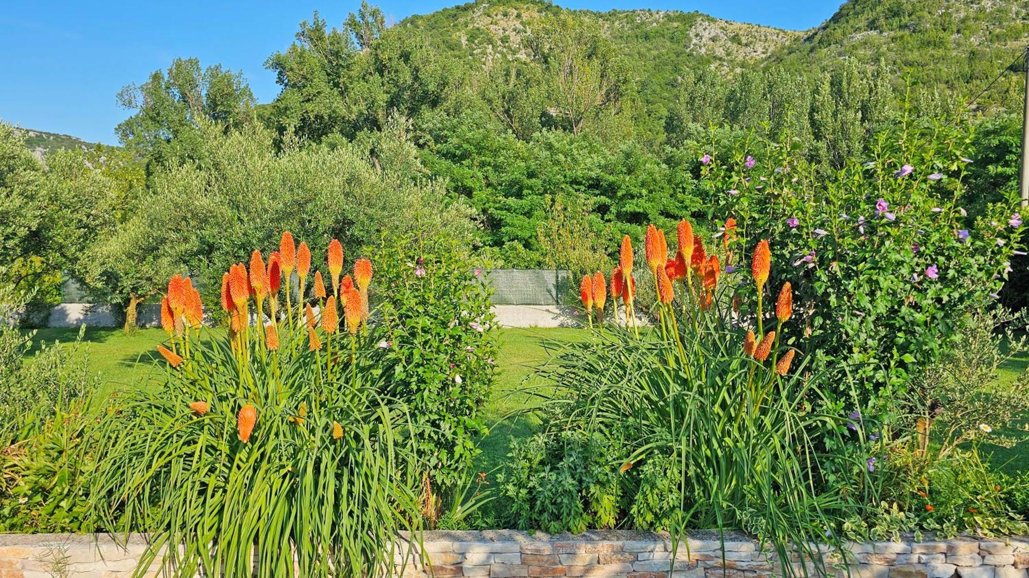 Holiday Home Natura With Private Pool Mostar Eksteriør billede